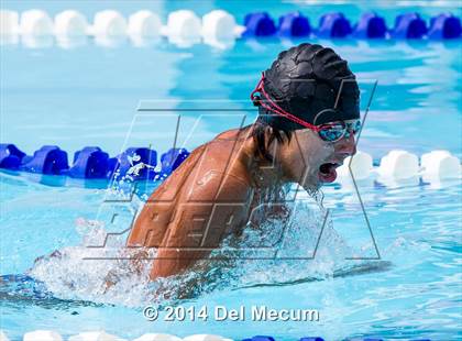 Thumbnail 1 in Hillsborough Western Conference Meet photogallery.