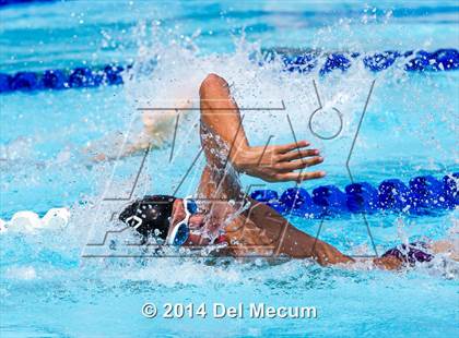 Thumbnail 3 in Hillsborough Western Conference Meet photogallery.
