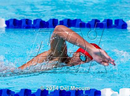 Thumbnail 1 in Hillsborough Western Conference Meet photogallery.