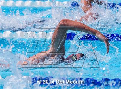 Thumbnail 3 in Hillsborough Western Conference Meet photogallery.