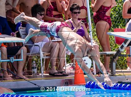 Thumbnail 1 in Hillsborough Western Conference Meet photogallery.