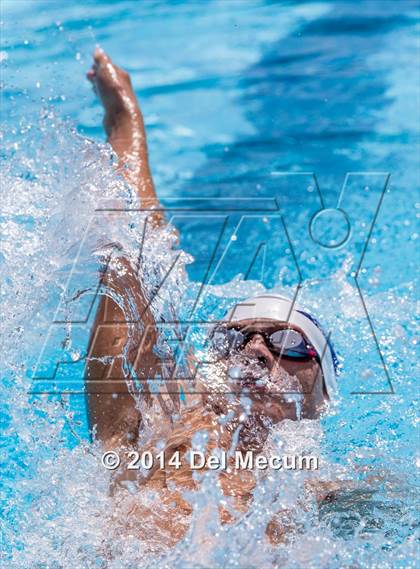 Thumbnail 2 in Hillsborough Western Conference Meet photogallery.