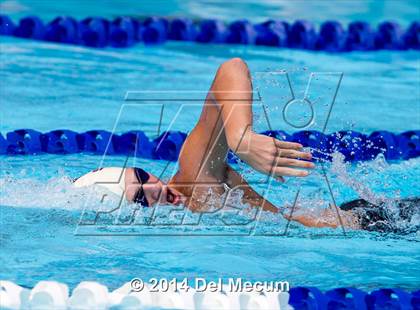 Thumbnail 1 in Hillsborough Western Conference Meet photogallery.
