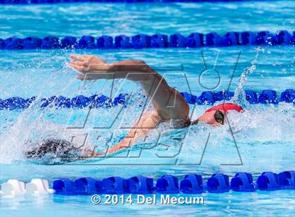 Thumbnail 2 in Hillsborough Western Conference Meet photogallery.