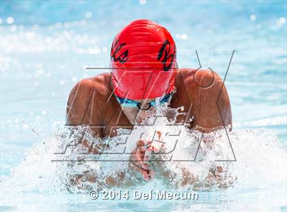 Thumbnail 1 in Hillsborough Western Conference Meet photogallery.