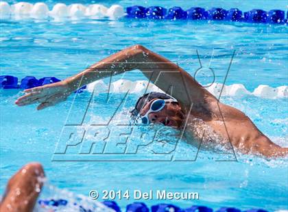 Thumbnail 1 in Hillsborough Western Conference Meet photogallery.