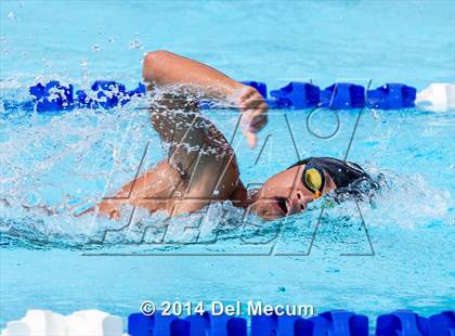 Thumbnail 1 in Hillsborough Western Conference Meet photogallery.