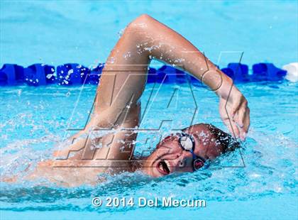 Thumbnail 2 in Hillsborough Western Conference Meet photogallery.