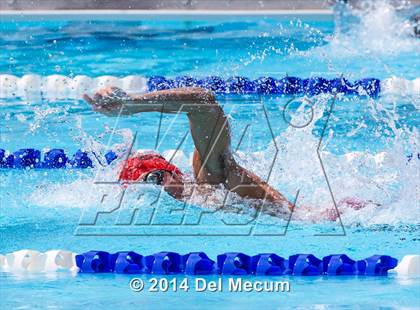 Thumbnail 2 in Hillsborough Western Conference Meet photogallery.
