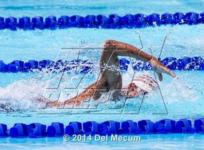 Thumbnail 1 in Hillsborough Western Conference Meet photogallery.
