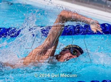 Thumbnail 1 in Hillsborough Western Conference Meet photogallery.