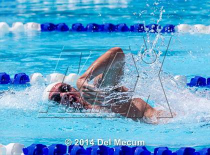 Thumbnail 3 in Hillsborough Western Conference Meet photogallery.
