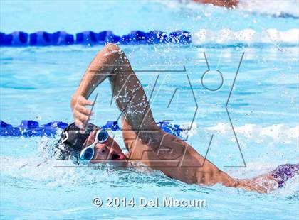 Thumbnail 1 in Hillsborough Western Conference Meet photogallery.