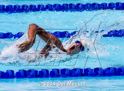 Thumbnail 3 in Hillsborough Western Conference Meet photogallery.