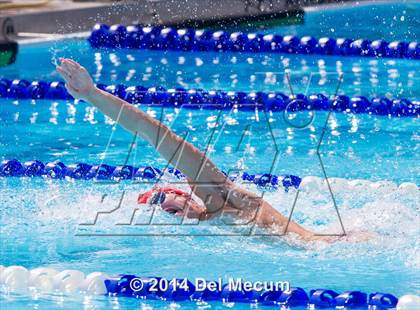 Thumbnail 1 in Hillsborough Western Conference Meet photogallery.