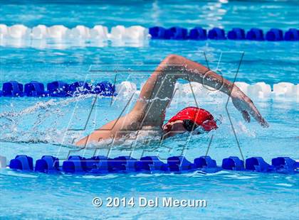 Thumbnail 2 in Hillsborough Western Conference Meet photogallery.