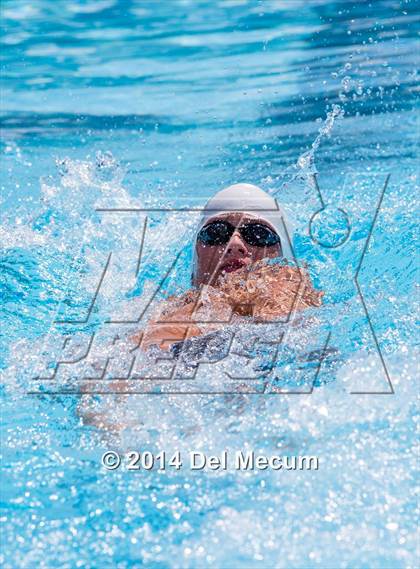Thumbnail 3 in Hillsborough Western Conference Meet photogallery.