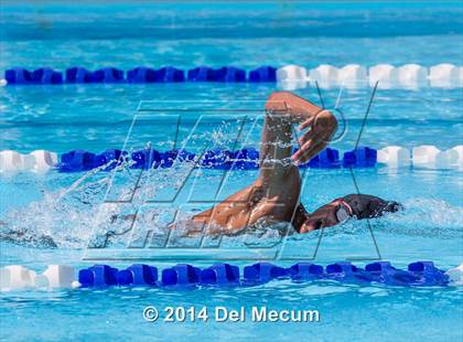 Thumbnail 1 in Hillsborough Western Conference Meet photogallery.