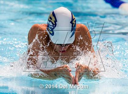 Thumbnail 1 in Hillsborough Western Conference Meet photogallery.