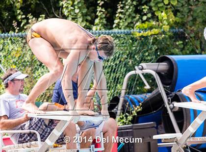 Thumbnail 3 in Hillsborough Western Conference Meet photogallery.