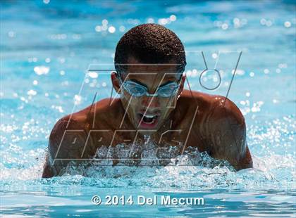 Thumbnail 1 in Hillsborough Western Conference Meet photogallery.