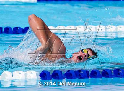 Thumbnail 1 in Hillsborough Western Conference Meet photogallery.
