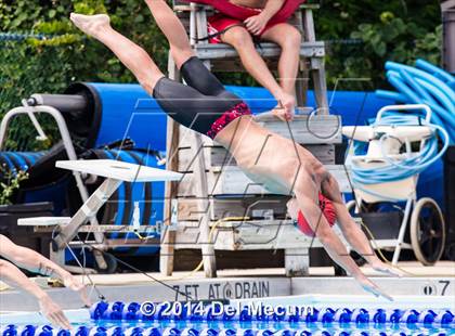 Thumbnail 3 in Hillsborough Western Conference Meet photogallery.