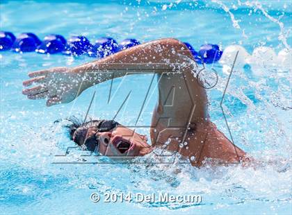 Thumbnail 2 in Hillsborough Western Conference Meet photogallery.