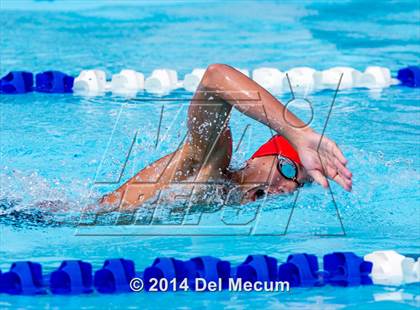 Thumbnail 3 in Hillsborough Western Conference Meet photogallery.