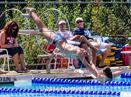 Thumbnail 1 in Hillsborough Western Conference Meet photogallery.