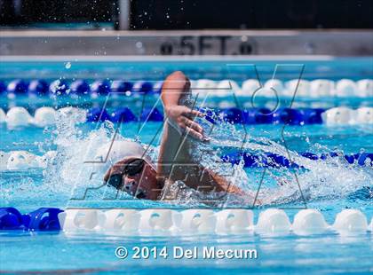 Thumbnail 3 in Hillsborough Western Conference Meet photogallery.