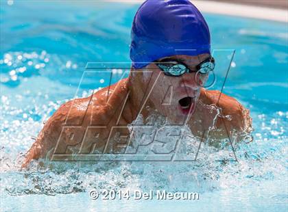 Thumbnail 1 in Hillsborough Western Conference Meet photogallery.