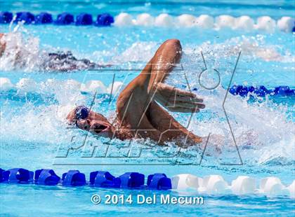 Thumbnail 3 in Hillsborough Western Conference Meet photogallery.