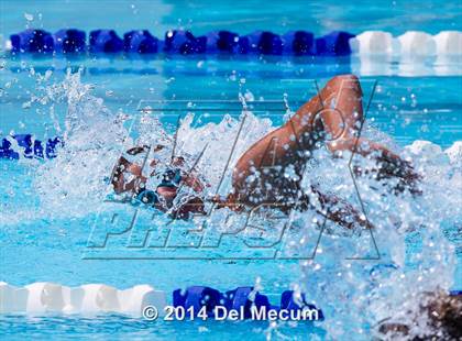 Thumbnail 3 in Hillsborough Western Conference Meet photogallery.