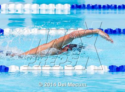 Thumbnail 1 in Hillsborough Western Conference Meet photogallery.