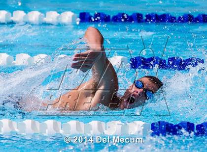 Thumbnail 2 in Hillsborough Western Conference Meet photogallery.