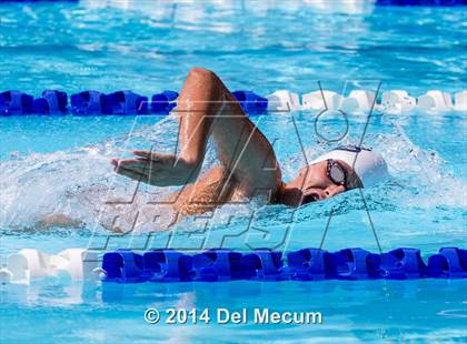 Thumbnail 2 in Hillsborough Western Conference Meet photogallery.