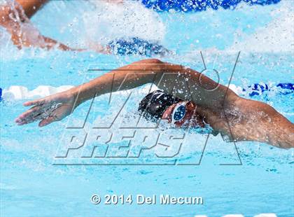 Thumbnail 2 in Hillsborough Western Conference Meet photogallery.