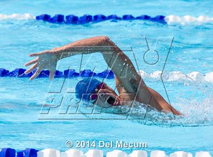 Thumbnail 1 in Hillsborough Western Conference Meet photogallery.