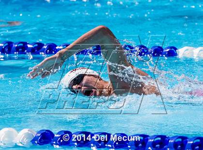 Thumbnail 3 in Hillsborough Western Conference Meet photogallery.