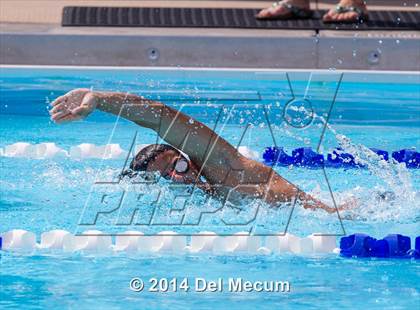 Thumbnail 1 in Hillsborough Western Conference Meet photogallery.