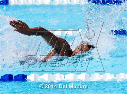 Thumbnail 1 in Hillsborough Western Conference Meet photogallery.