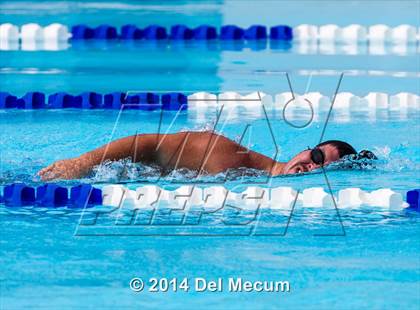 Thumbnail 1 in Hillsborough Western Conference Meet photogallery.