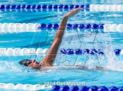 Thumbnail 1 in Hillsborough Western Conference Meet photogallery.