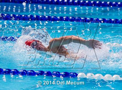 Thumbnail 2 in Hillsborough Western Conference Meet photogallery.