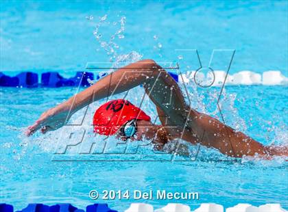 Thumbnail 1 in Hillsborough Western Conference Meet photogallery.