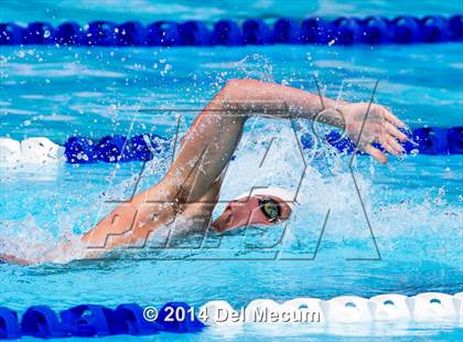 Thumbnail 1 in Hillsborough Western Conference Meet photogallery.