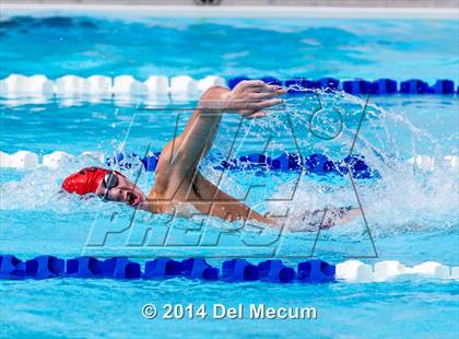 Thumbnail 3 in Hillsborough Western Conference Meet photogallery.