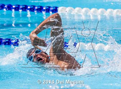 Thumbnail 3 in Hillsborough Western Conference Meet photogallery.