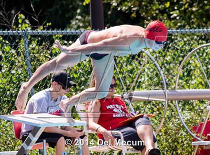 Thumbnail 1 in Hillsborough Western Conference Meet photogallery.